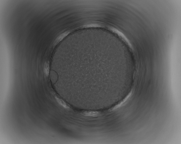 X0000116120833200911231213