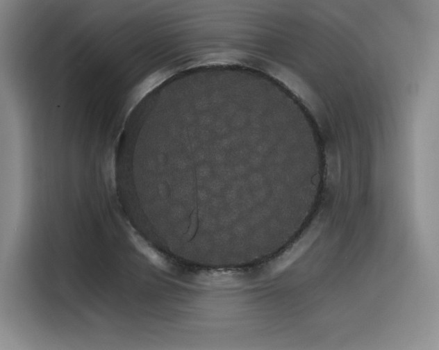 X0000116120834200911231213