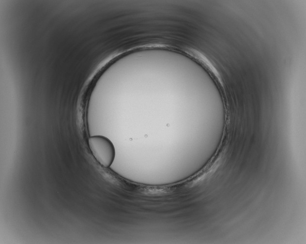 X0000116120835200911231213