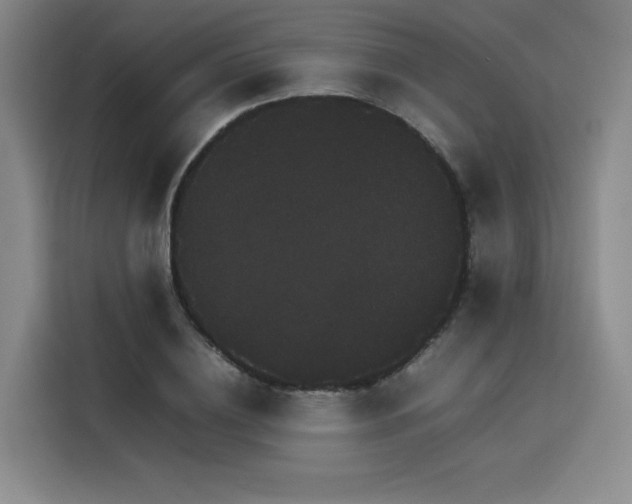 X0000116120836200911231213