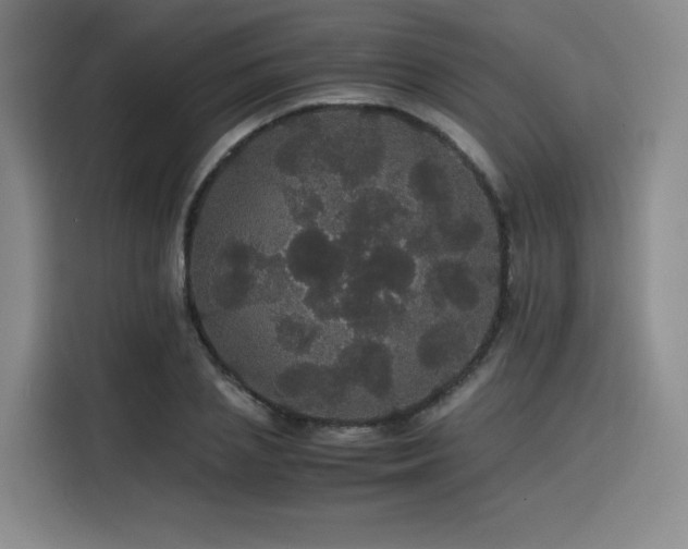 X0000116120837200911231213