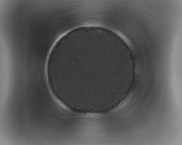 X0000116120840200911231213