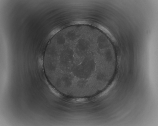 X0000116120841200911231213