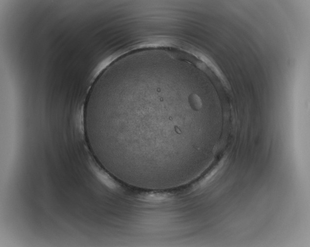 X0000116120842200911231213