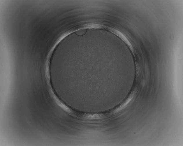 X0000116120843200911231213