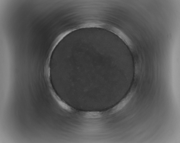 X0000116120844200911231213