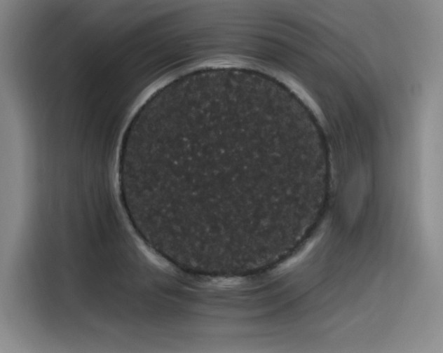 X0000116120845200911231213