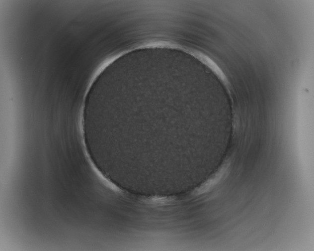 X0000116120847200911231213