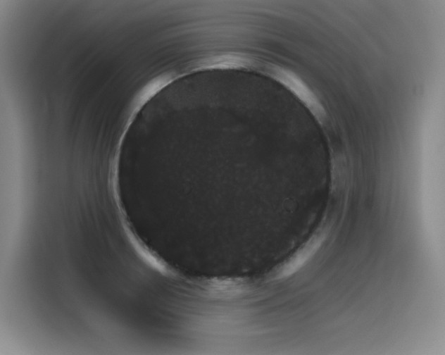 X0000116120850200911231214