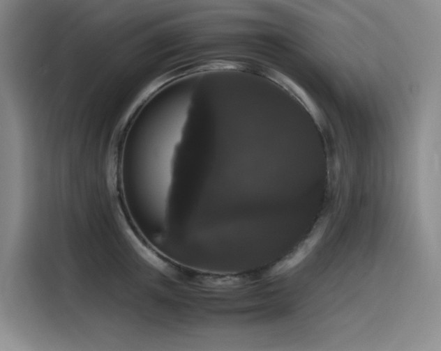 X0000116120851200911231214