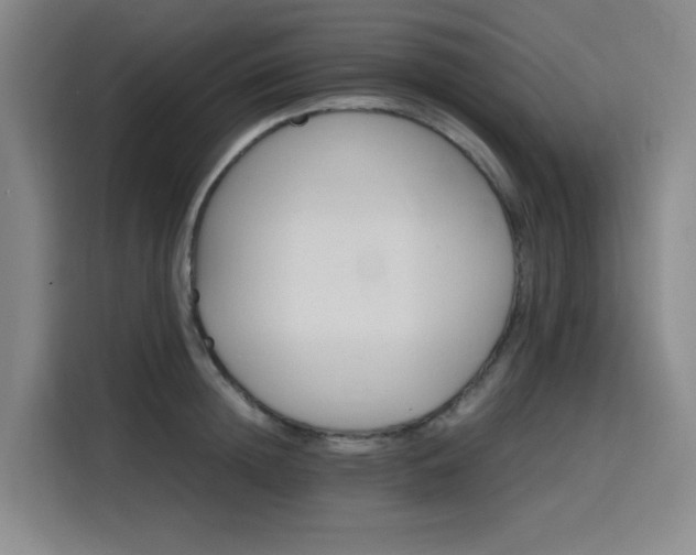 X0000116120852200911231214