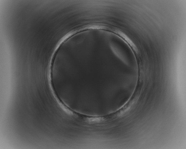 X0000116120853200911231214