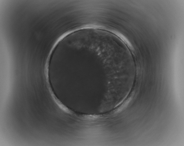 X0000116120854200911231214