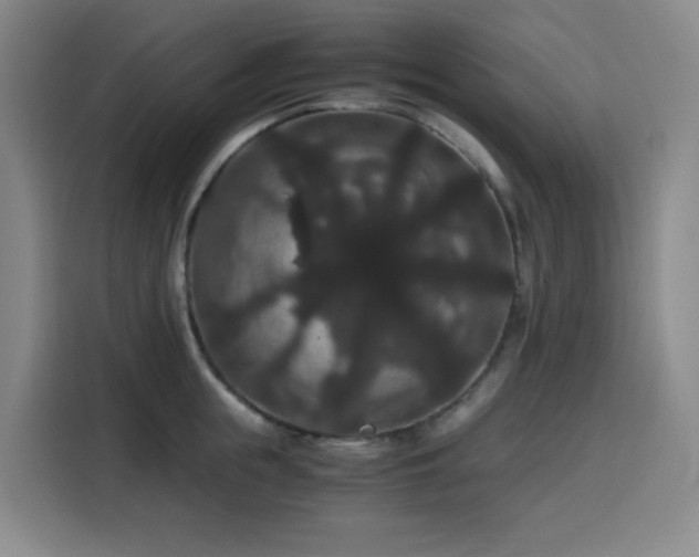 X0000116120855200911231214