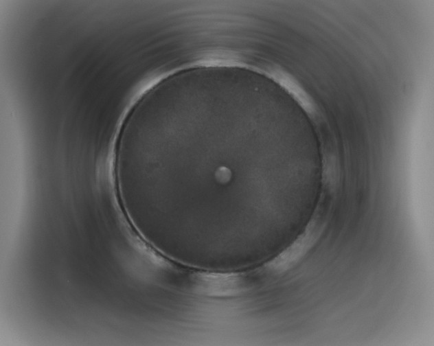 X0000116120856200911231214