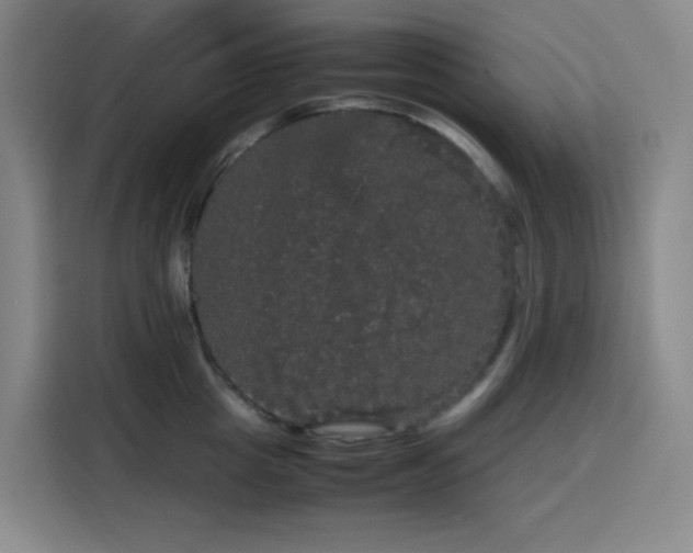 X0000116120857200911231214