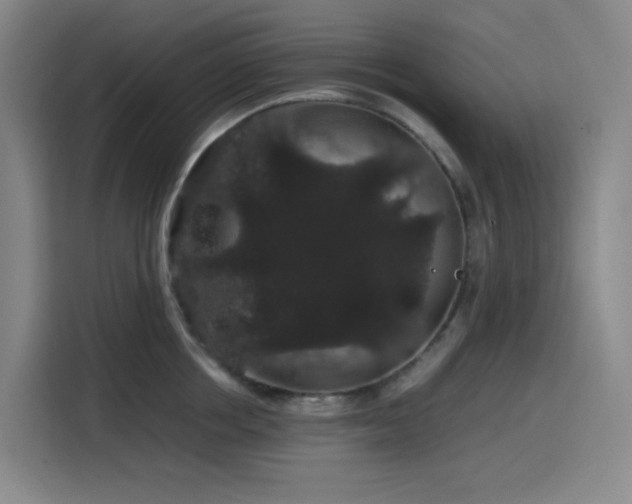 X0000116120858200911231214