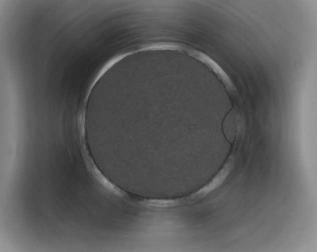 X0000116120860200911231214