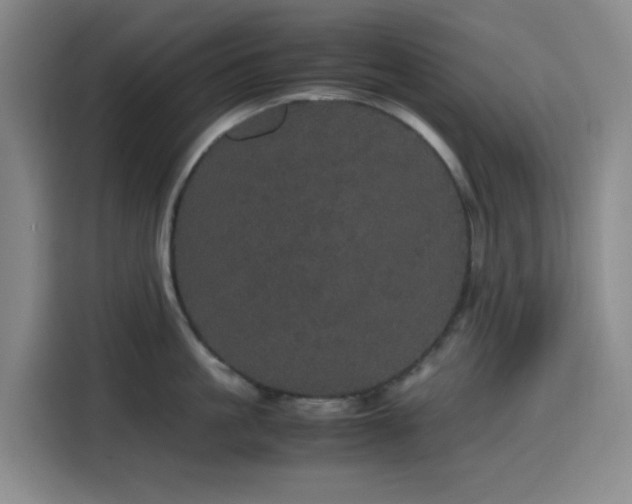 X0000116120861200911231214