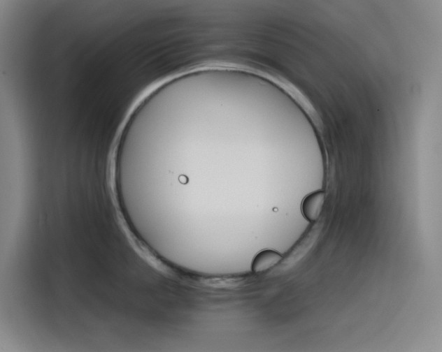 X0000116120862200911231214