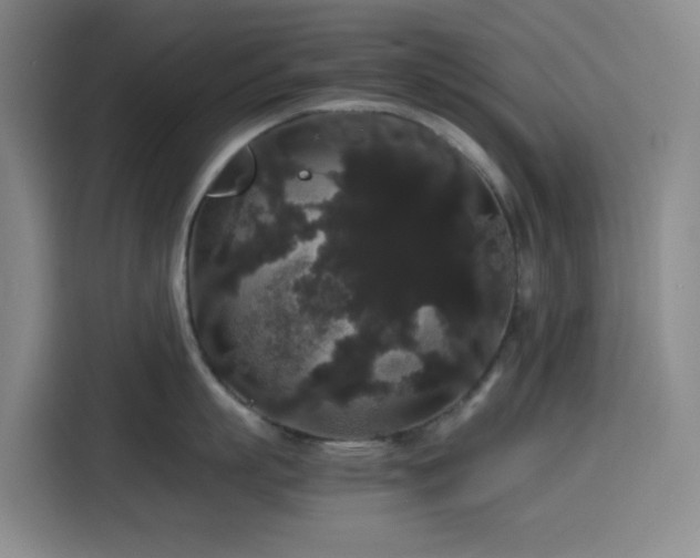 X0000116120863200911231214