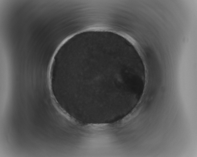 X0000116120864200911231214