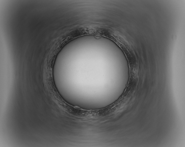 X0000116120865200911231213