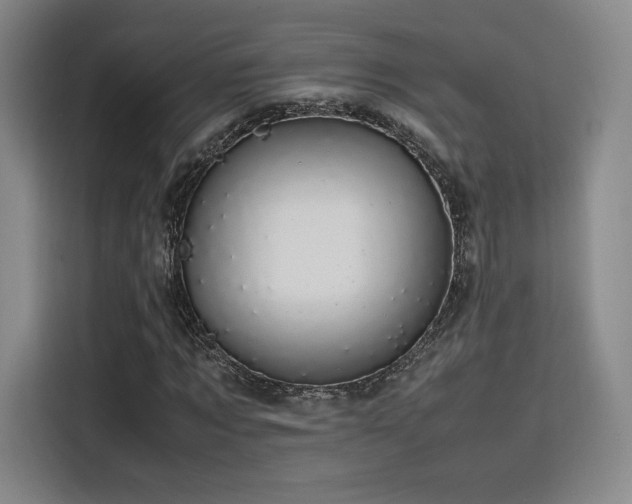 X0000116120869200911231213