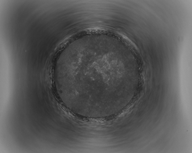 X0000116120870200911231213