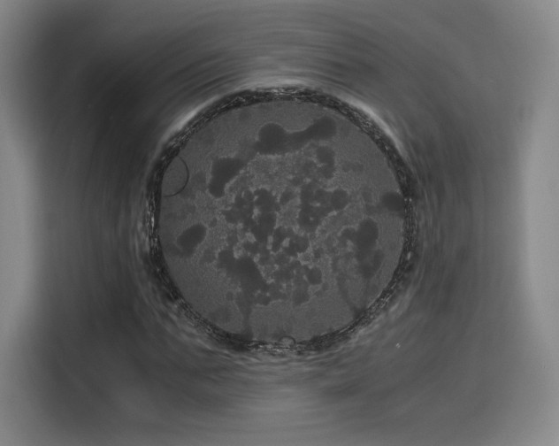 X0000116120871200911231213