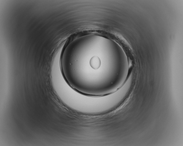 X0000116120873200911231213