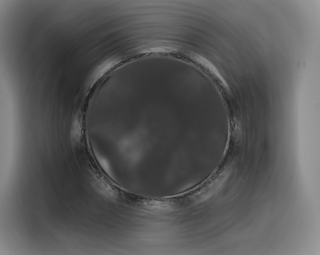 X0000116120874200911231213