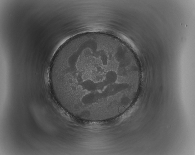 X0000116120875200911231213