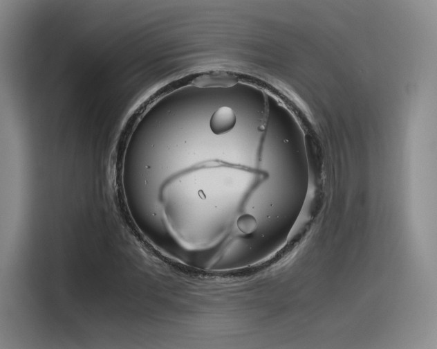 X0000116120877200911231213