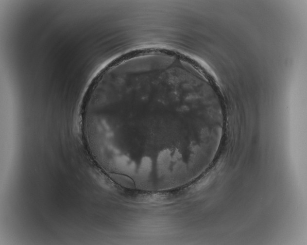 X0000116120879200911231213