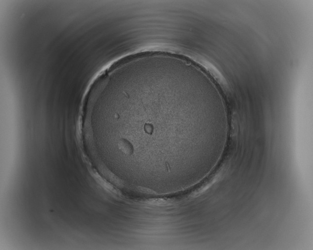 X0000116120880200911231213