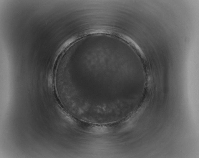 X0000116120882200911231213