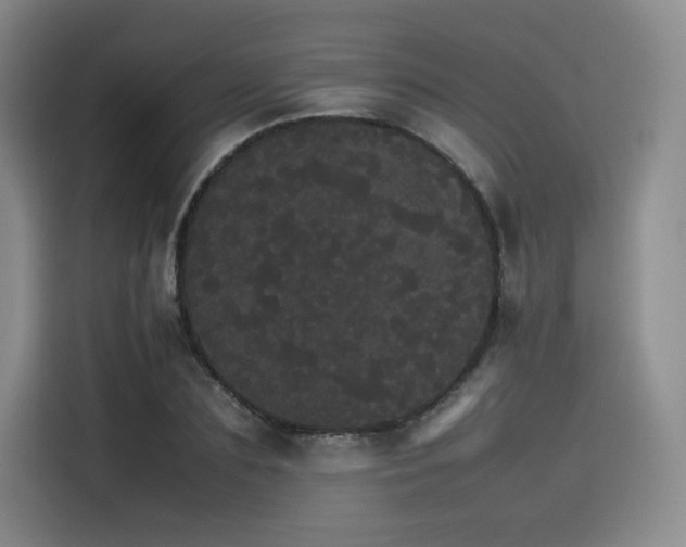 X0000116120883200911231213