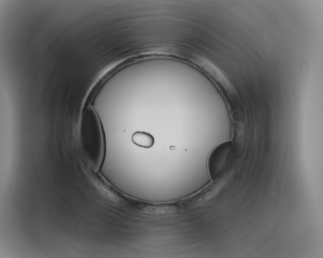 X0000116120884200911231213