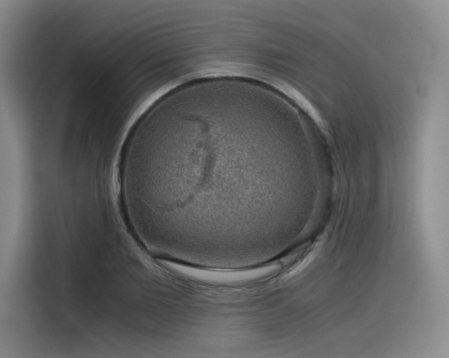 X0000116120885200911231213