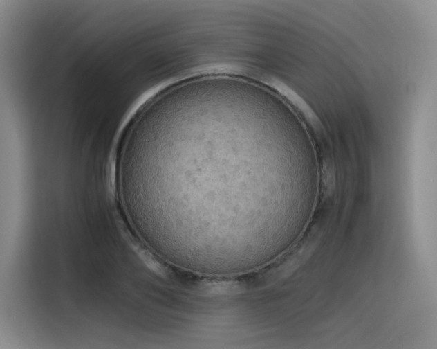 X0000116120886200911231213