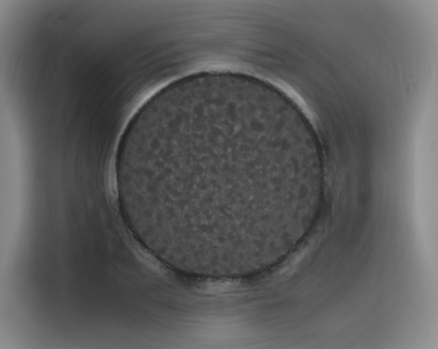 X0000116120887200911231213