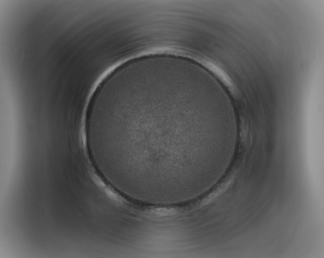 X0000116120888200911231213