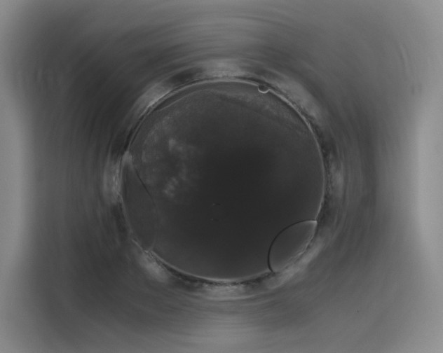 X0000116120889200911231213