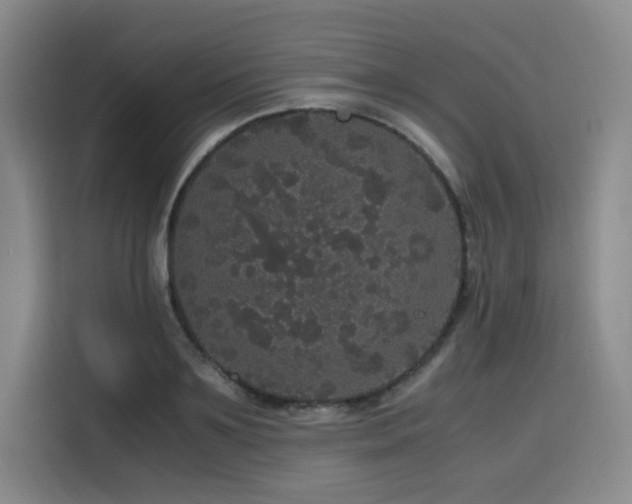 X0000116120891200911231213