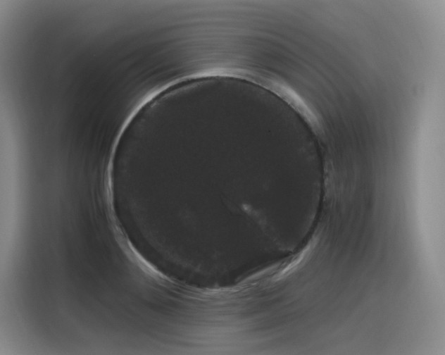 X0000116120892200911231213