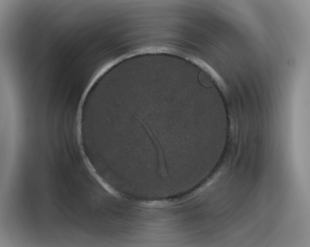 X0000116120894200911231213