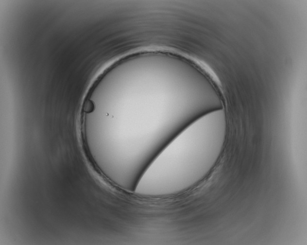 X0000116120895200911231213