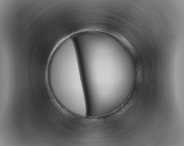 X0000116120896200911231213