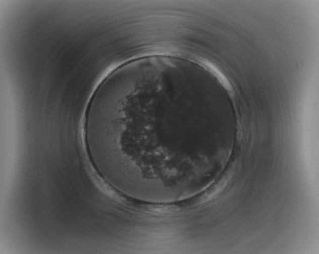 X0000116120899200911231213